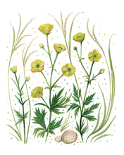Load image into Gallery viewer, Buttercups Watercolor Art Print – Cheerful Yellow Wildflower Wall Decor (8x10)