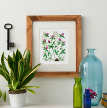Load image into Gallery viewer, Clover Wildflower Art Print – Watercolor Botanical Wall Decor (8x10)