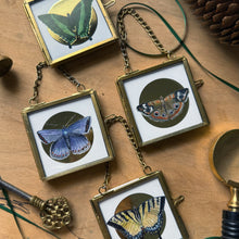 Load image into Gallery viewer, Butterfly Ornament — Gold Foil Halo (Choose Your Butterfly)