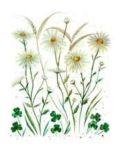 Load image into Gallery viewer, Wild Daisies Art Print – Watercolor Wildflower Illustration (8x10)