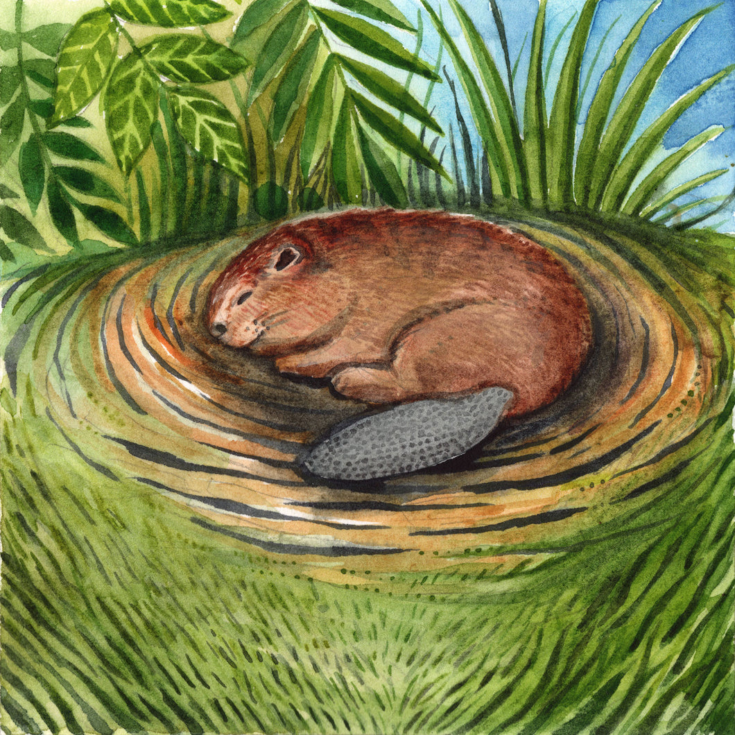 Day 7 of 25, Beaver: Dreams by the Stream | Framed Original Watercolor by Cynthia Oswald