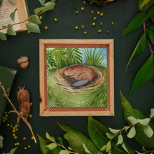 Load image into Gallery viewer, Day 7 of 25, Beaver: Dreams by the Stream | Framed Original Watercolor by Cynthia Oswald
