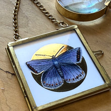 Load image into Gallery viewer, Butterfly Ornament — Gold Foil Halo (Choose Your Butterfly)
