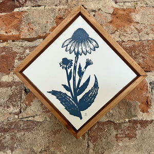 Echinacea I | Silk Screen Artist Proof