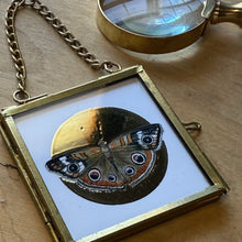 Load image into Gallery viewer, Butterfly Ornament — Gold Foil Halo (Choose Your Butterfly)
