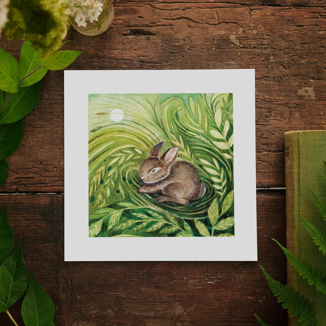 Bunny | Dreaming in the Wild