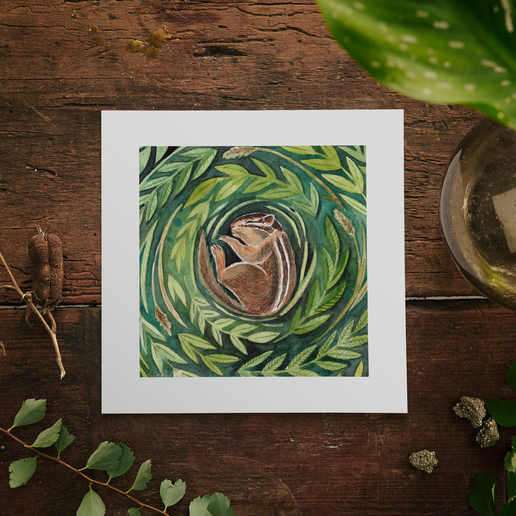 Chipmunk | Dreaming in the Wild