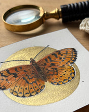 Load image into Gallery viewer, Dark Green Fritillary | Framed Original Watercolor by Cynthia Oswald
