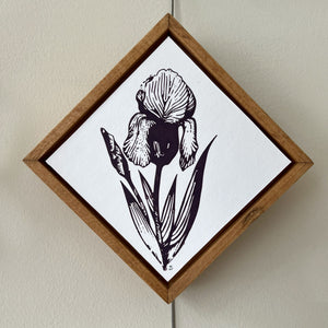 Iris I | Silk Screen Artist Proof