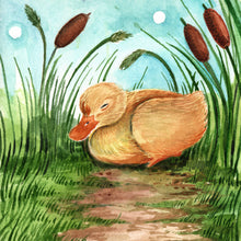 Load image into Gallery viewer, Day 22 of 25, Duck: Meadow Pause | Framed Original Watercolor by Cynthia Oswald
