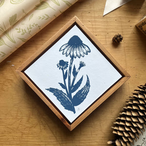 Echinacea I | Silk Screen Artist Proof