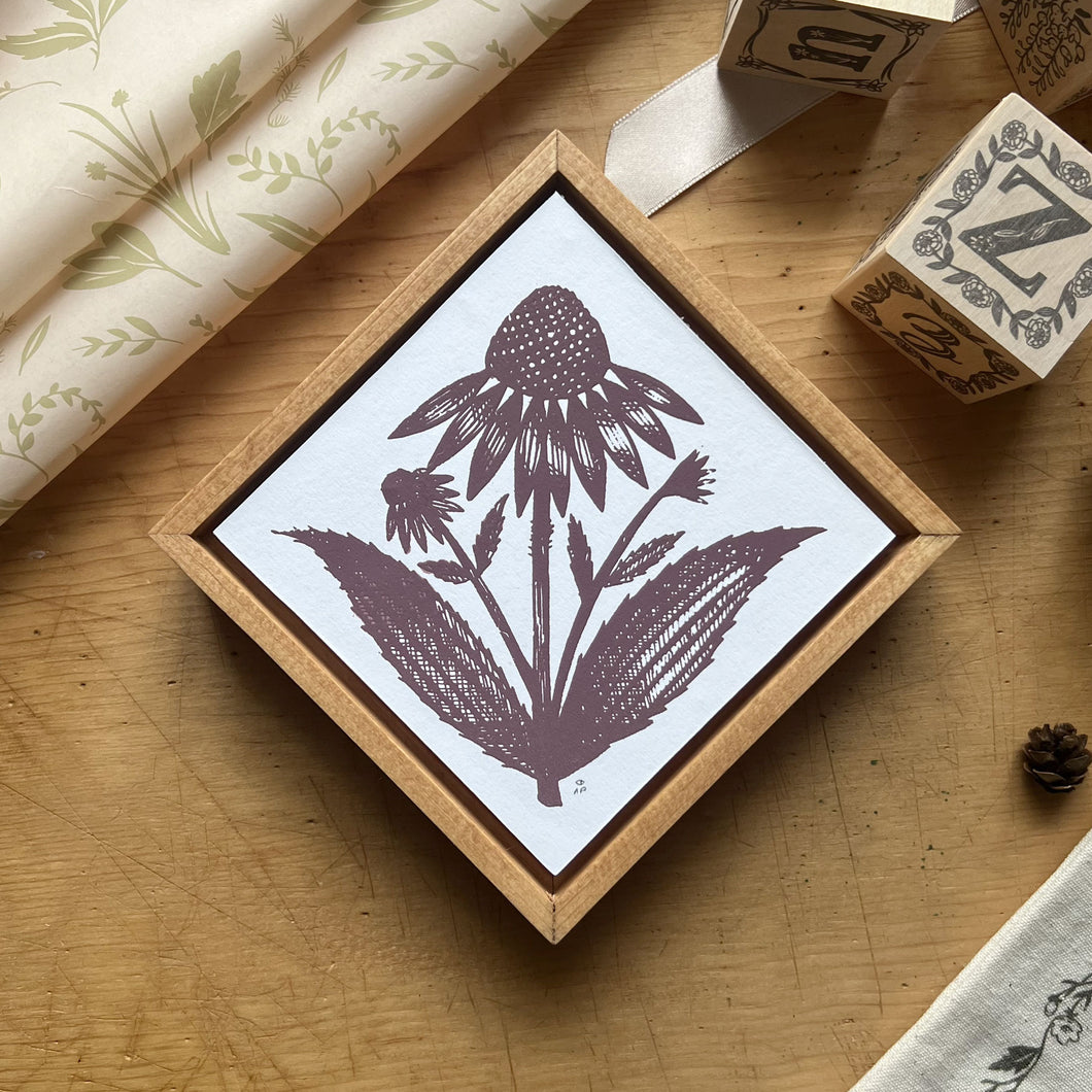 Echinacea III | Silk Screen Artist Proof