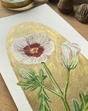 Load image into Gallery viewer, Flower of an Hour | Framed Original Watercolor by Cynthia Oswald
