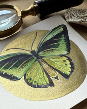 Load image into Gallery viewer, Goliath Birdwing | Framed Original Watercolor by Cynthia Oswald
