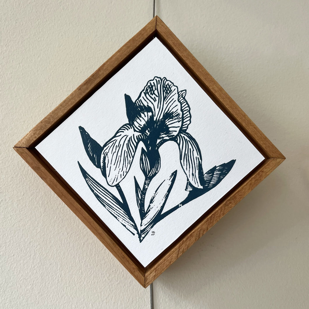 Iris II | Silk Screen Artist Proof