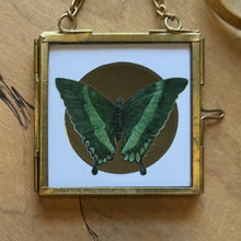 Load image into Gallery viewer, Butterfly Ornament — Gold Foil Halo (Choose Your Butterfly)
