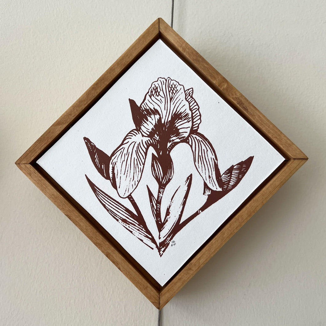 Iris III | Silk Screen Artist Proof