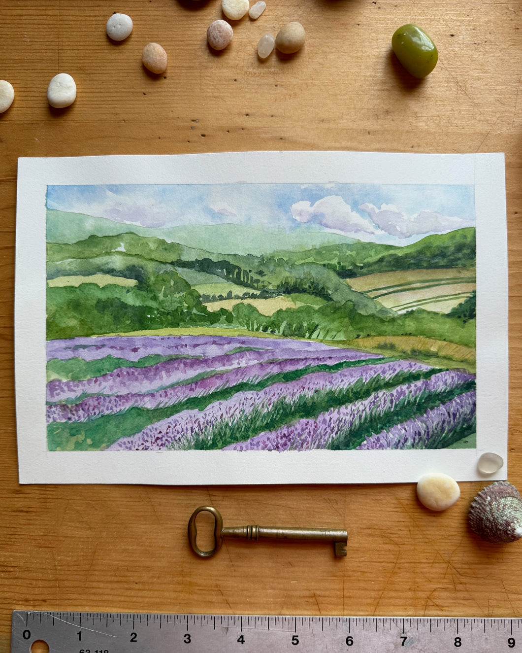Warwick Lavender Fields – Large