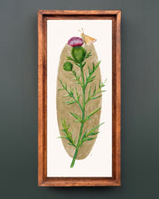 Load image into Gallery viewer, Spear Thistle with Antelope Moth | Framed Original Watercolor by Cynthia Oswald
