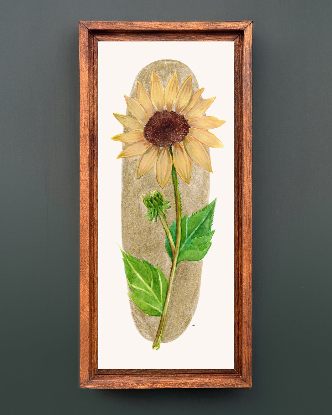 Sunflower | Framed Original Watercolor by Cynthia Oswald
