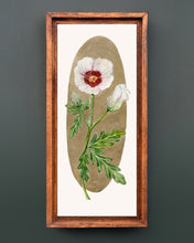 Load image into Gallery viewer, Flower of an Hour | Framed Original Watercolor by Cynthia Oswald
