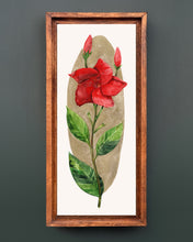 Load image into Gallery viewer, Mandevilla | Framed Original Watercolor by Cynthia Oswald
