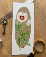 Load image into Gallery viewer, Flower of an Hour | Framed Original Watercolor by Cynthia Oswald
