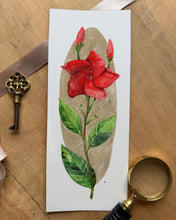 Load image into Gallery viewer, Mandevilla | Framed Original Watercolor by Cynthia Oswald
