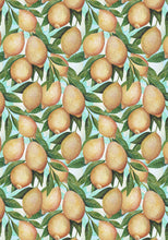 Load image into Gallery viewer, Lemon Grove Flour Sack Tea Towel – Celadon
