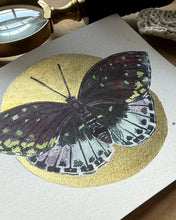 Load image into Gallery viewer, Lexaeus Butterfly | Framed Original Watercolor by Cynthia Oswald
