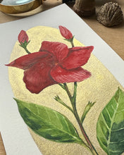 Load image into Gallery viewer, Mandevilla | Framed Original Watercolor by Cynthia Oswald
