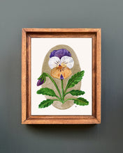 Load image into Gallery viewer, Penny Peach Jump-Up | Framed Original Watercolor by Cynthia Oswald
