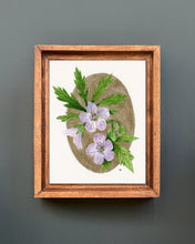 Load image into Gallery viewer, Wild Geranium | Framed Original Watercolor by Cynthia Oswald
