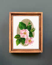 Load image into Gallery viewer, Wild Rose | Framed Original Watercolor by Cynthia Oswald
