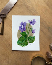 Load image into Gallery viewer, Wild Violet | Framed Original Watercolor by Cynthia Oswald
