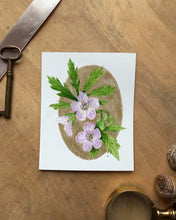 Load image into Gallery viewer, Wild Geranium | Framed Original Watercolor by Cynthia Oswald
