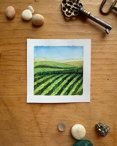 Farm Fields in Bloom