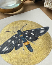 Load image into Gallery viewer, Nine-Spotted Moth | Framed Original Watercolor by Cynthia Oswald
