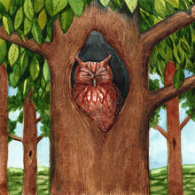 Load image into Gallery viewer, Day 13 of 25, Owl: Hidden in Plain View | Framed Original Watercolor by Cynthia Oswald
