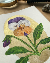 Load image into Gallery viewer, Penny Peach Jump-Up | Framed Original Watercolor by Cynthia Oswald
