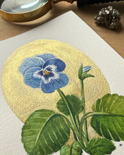 Load image into Gallery viewer, Blue Pansy | Framed Original Watercolor by Cynthia Oswald
