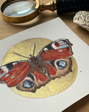 Load image into Gallery viewer, Peacock Butterfly | Framed Original Watercolor by Cynthia Oswald
