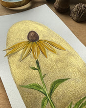 Load image into Gallery viewer, Prairie Coneflower | Framed Original Watercolor by Cynthia Oswald
