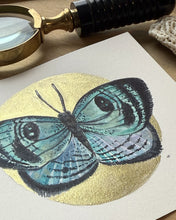 Load image into Gallery viewer, Simomis Croesus Butterfly | Framed Original Watercolor by Cynthia Oswald
