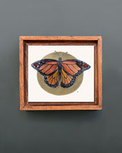 Load image into Gallery viewer, Monarch | Framed Original Watercolor by Cynthia Oswald
