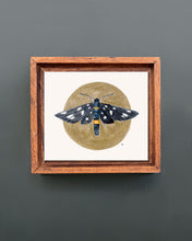 Load image into Gallery viewer, Nine-Spotted Moth | Framed Original Watercolor by Cynthia Oswald
