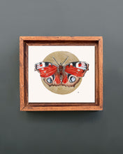 Load image into Gallery viewer, Peacock Butterfly | Framed Original Watercolor by Cynthia Oswald
