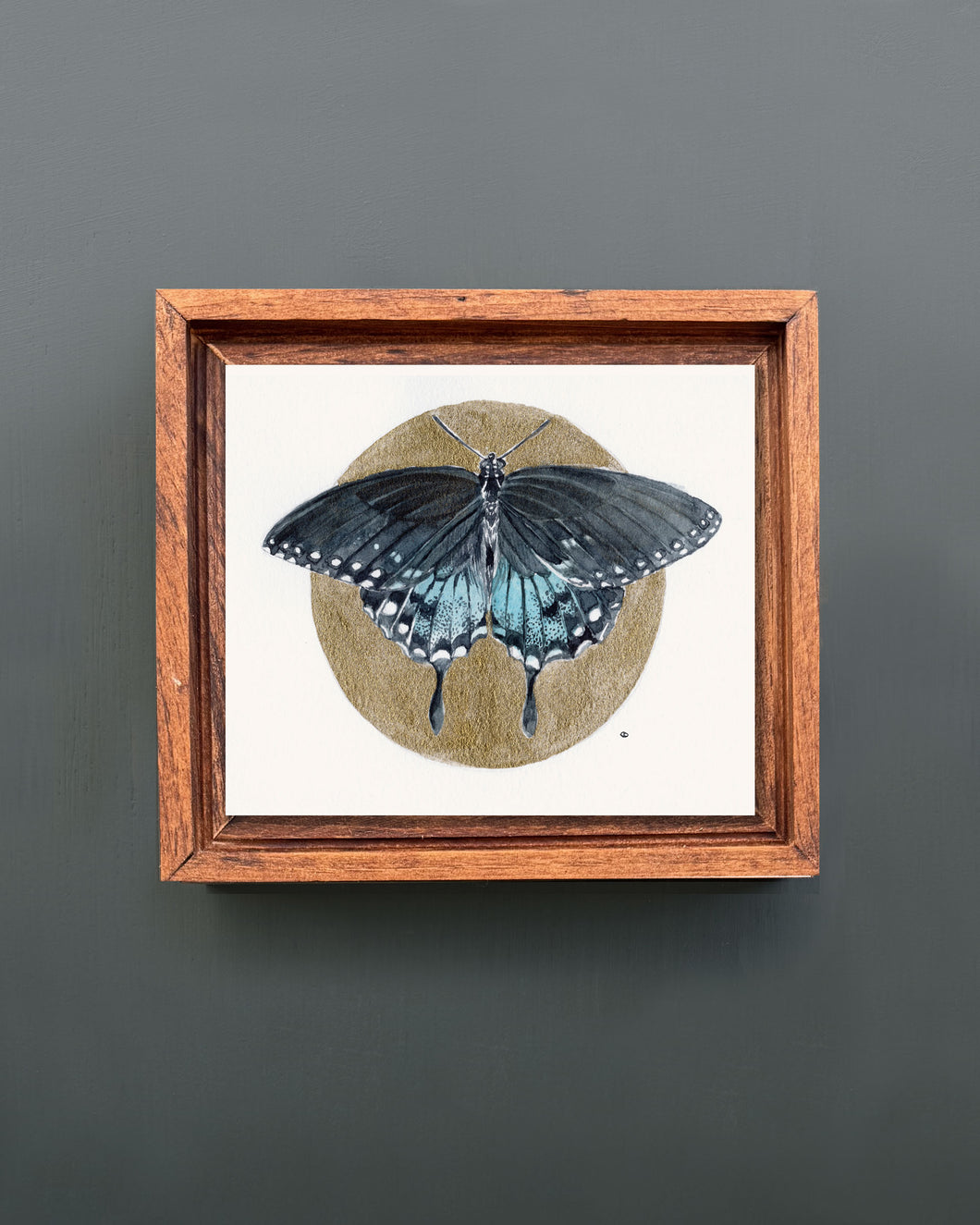 Spicebush Swallowtail | Framed Original Watercolor by Cynthia Oswald
