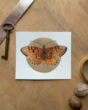 Load image into Gallery viewer, Dark Green Fritillary | Framed Original Watercolor by Cynthia Oswald

