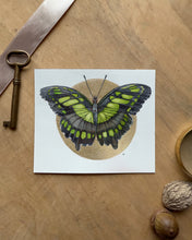 Load image into Gallery viewer, Malachite Butterfly | Framed Original Watercolor by Cynthia Oswald
